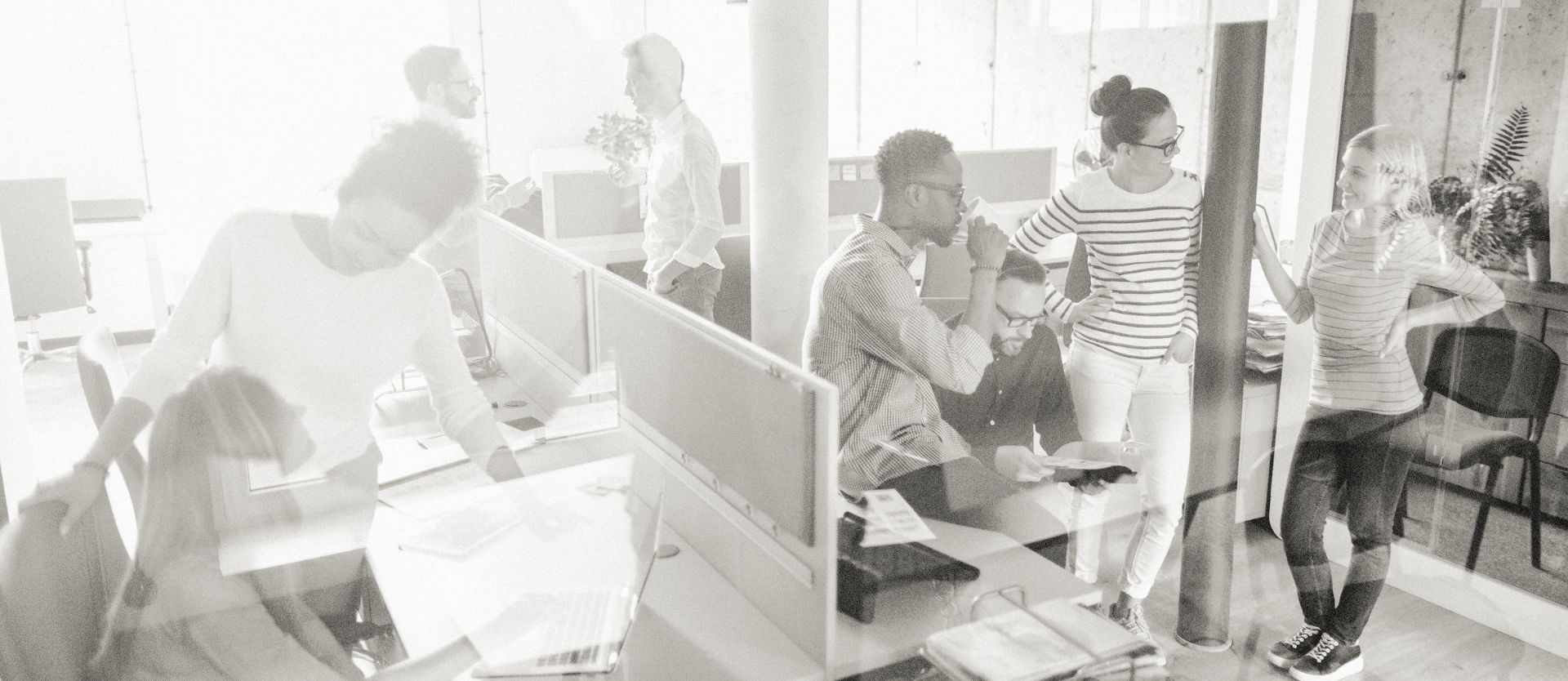 Coaching d’équipe - Assessment d’équipe